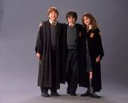images[7] (2)
