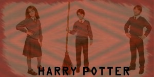 harry,ron-a-hermi[1]